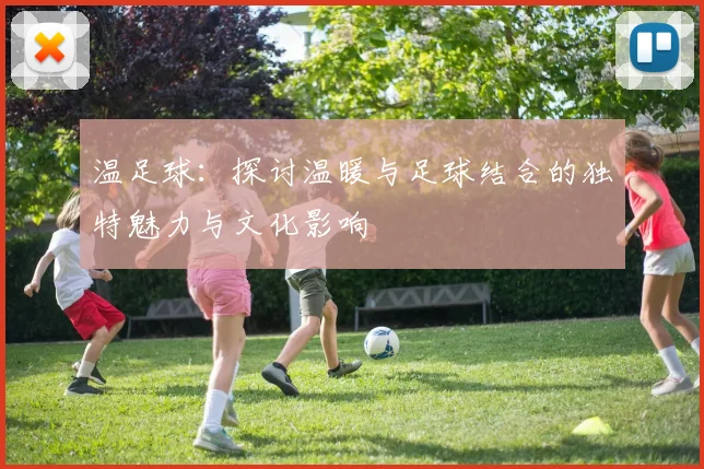 温足球：探讨温暖与足球结合的独特魅力与文化影响