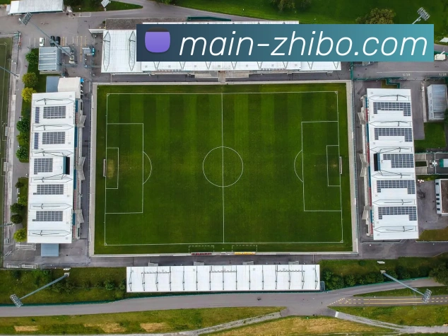 ZHIBO SPORTS官方服务体系